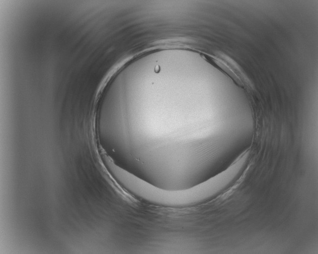 X0000062171196200512301637