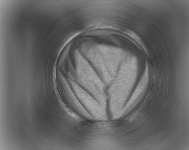 X0000062171198200512301637