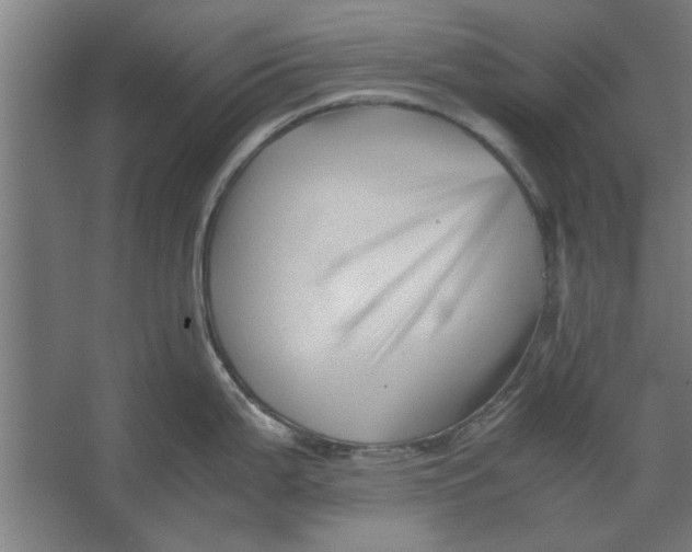 X0000062171199200512301637