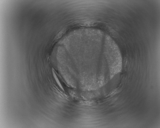 X0000062171202200512301636