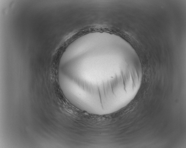 X0000062171207200512301636