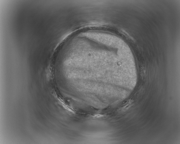 X0000062171208200512301636