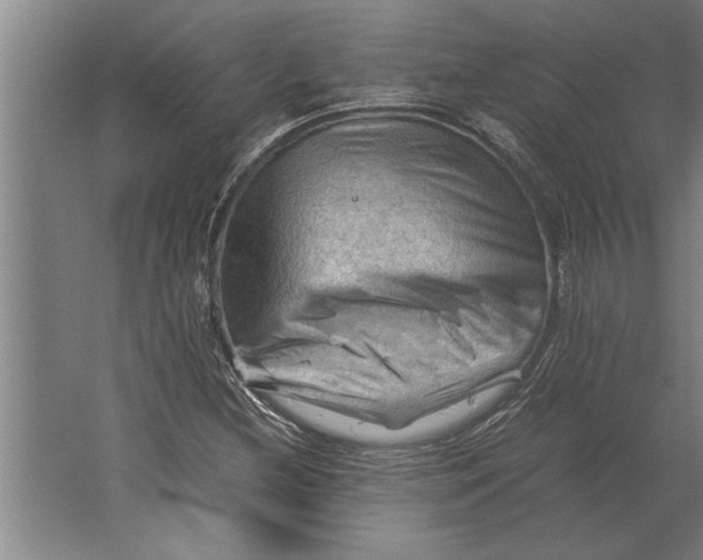 X0000062171212200512301636