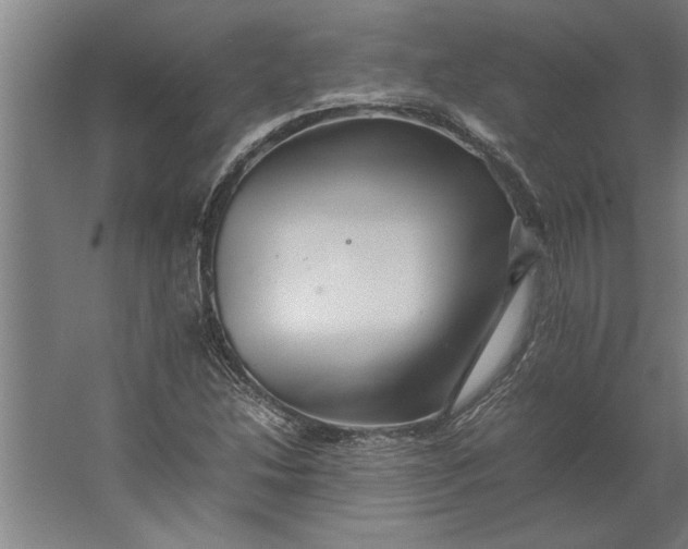 X0000062171214200512301636