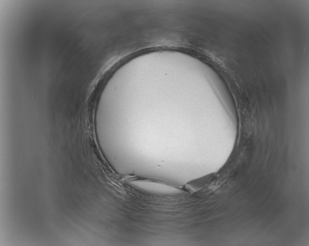 X0000062171215200512301636