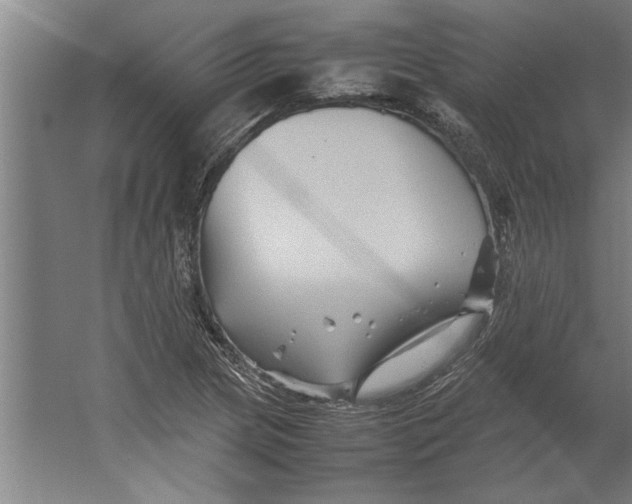 X0000062171217200512301636