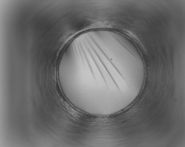 X0000062171220200512301636