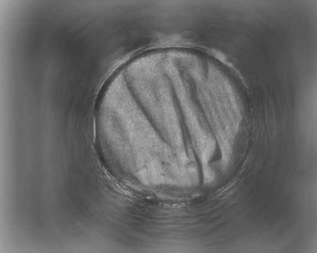 X0000062171221200512301636