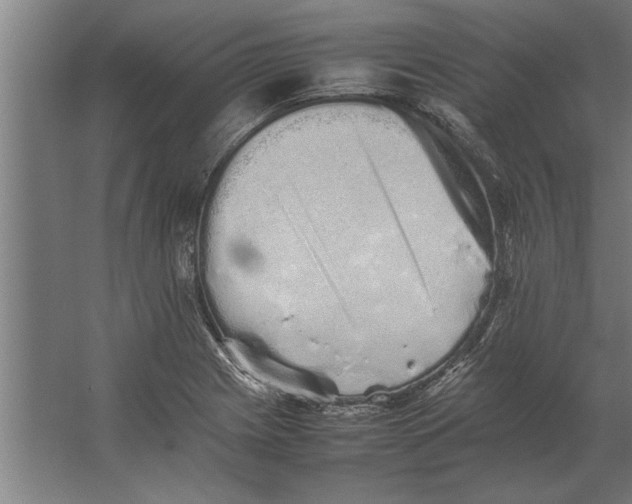 X0000062171225200512301637