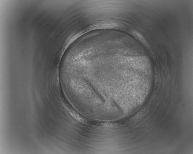 X0000062171226200512301637