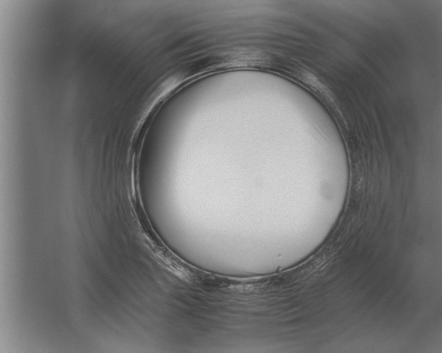 X0000062171227200512301637