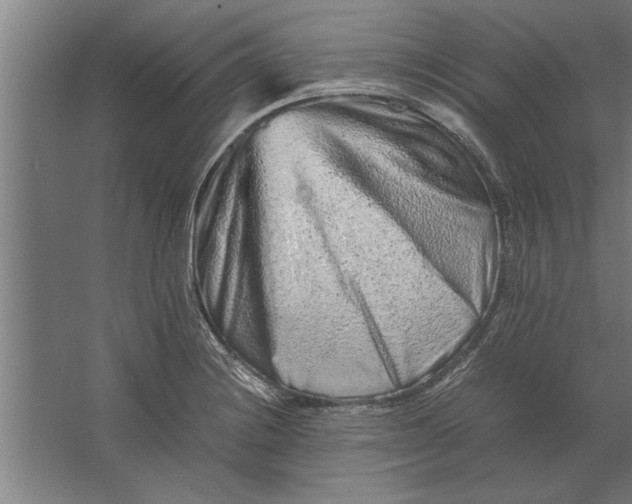 X0000062171228200512301637