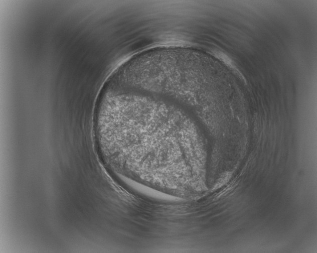 X0000062171229200512301637