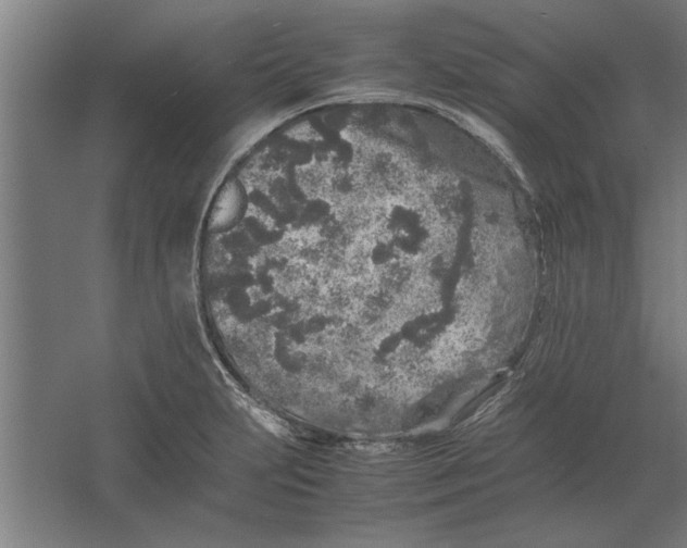 X0000062171231200512301637