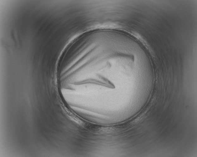 X0000062171232200512301637