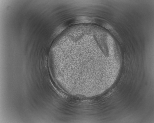 X0000062171233200512301637