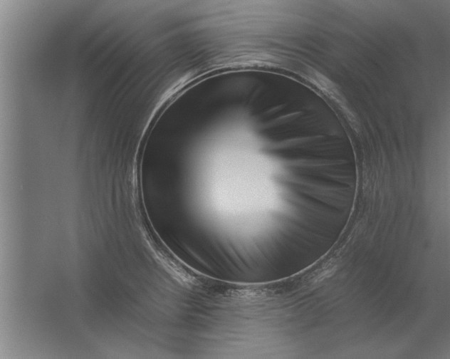 X0000062171234200512301637