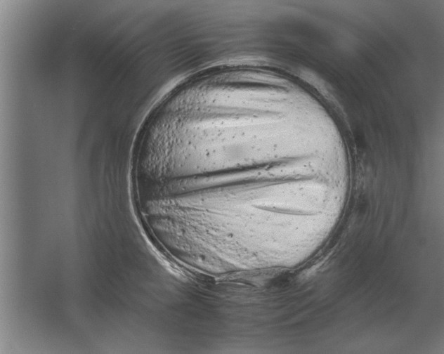 X0000062171237200512301637