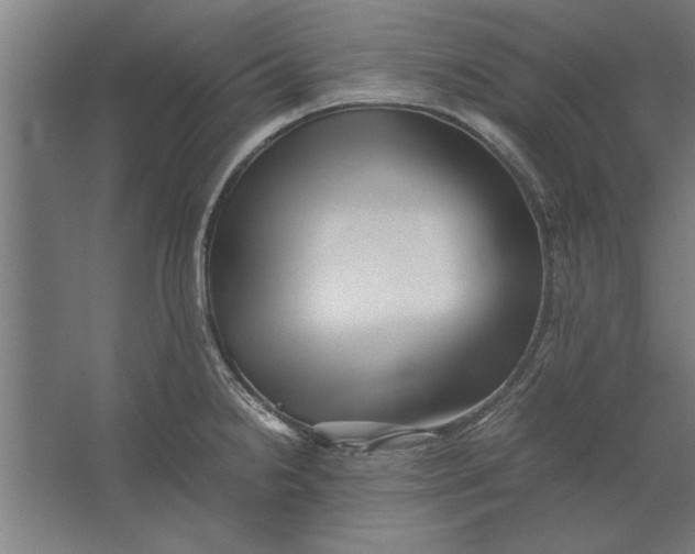 X0000062171238200512301637