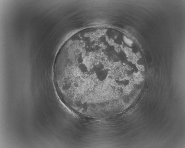 X0000062171239200512301637