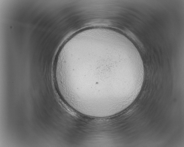 X0000062171240200512301637