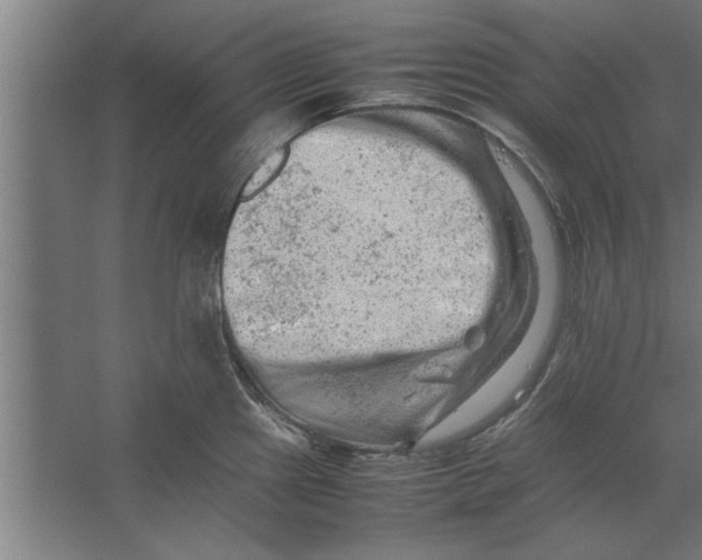 X0000062171241200512301637