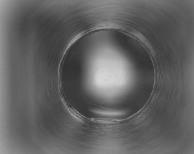 X0000062171242200512301637