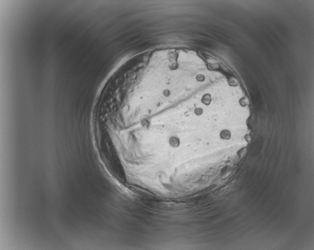 X0000062171243200512301637