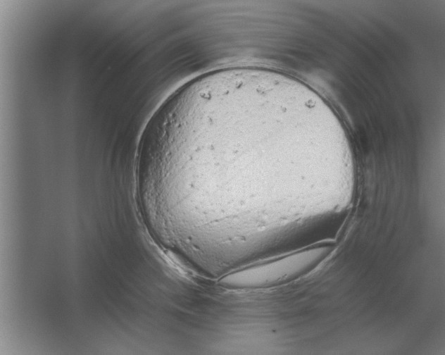 X0000062171244200512301637