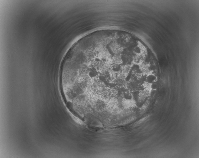 X0000062171245200512301637