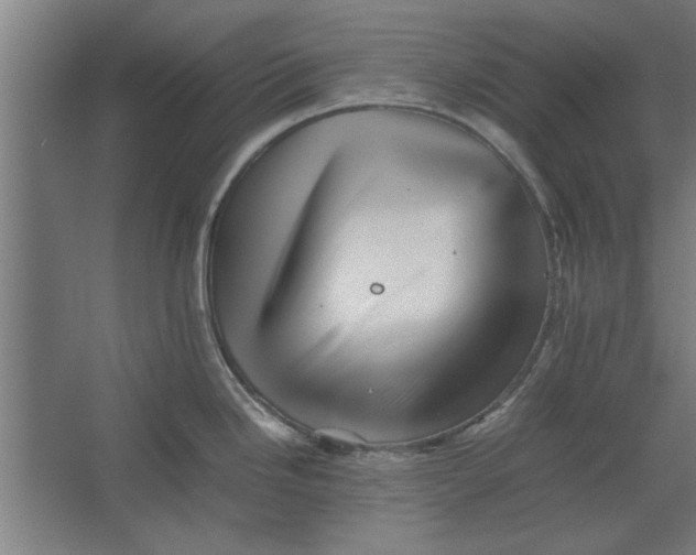 X0000062171246200512301637