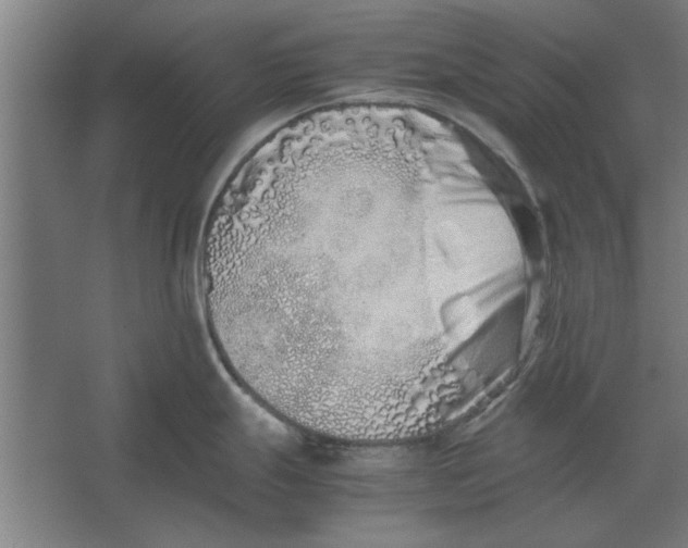 X0000062171247200512301637