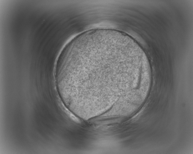 X0000062171248200512301637