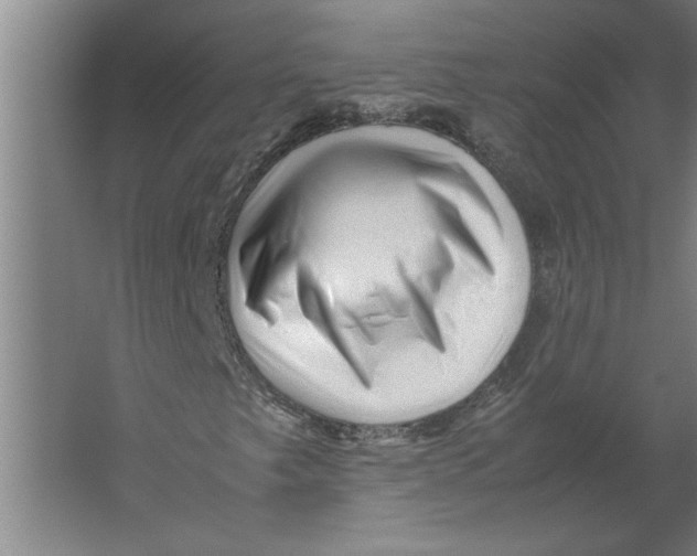 X0000062171249200512301636