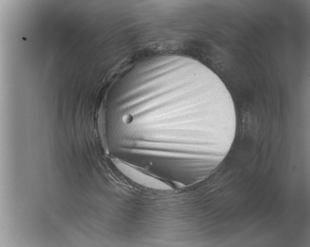 X0000062171250200512301636