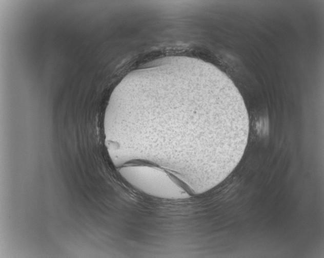 X0000062171252200512301636