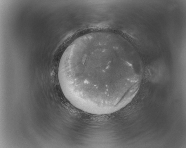 X0000062171254200512301636