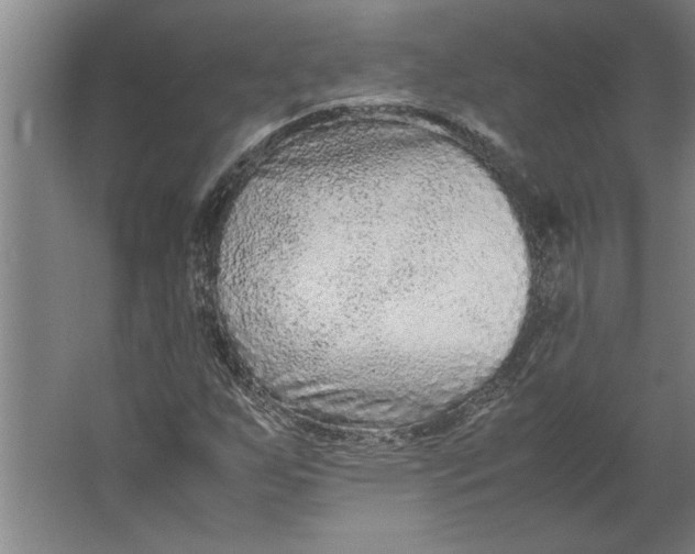 X0000062171255200512301636