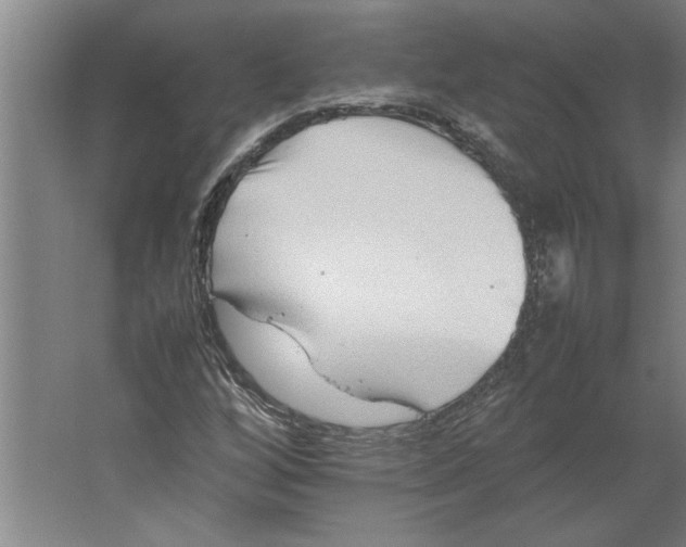 X0000062171256200512301636