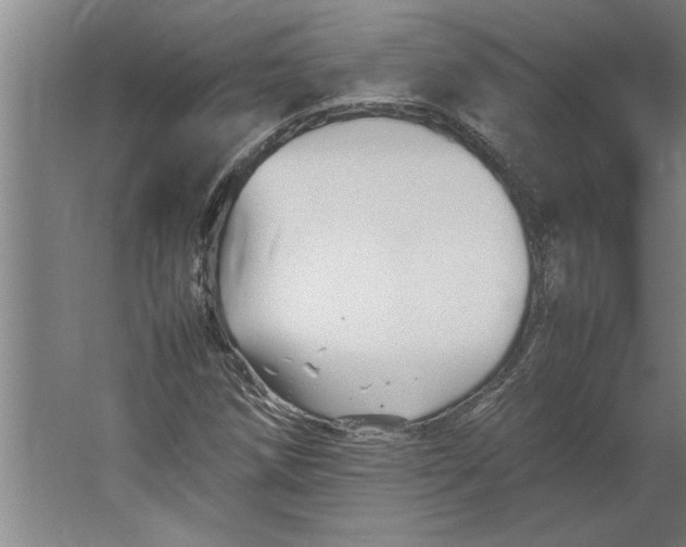 X0000062171258200512301636