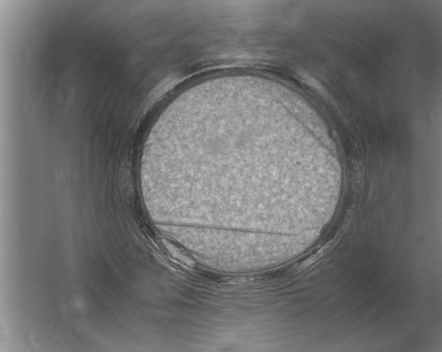 X0000062171259200512301636