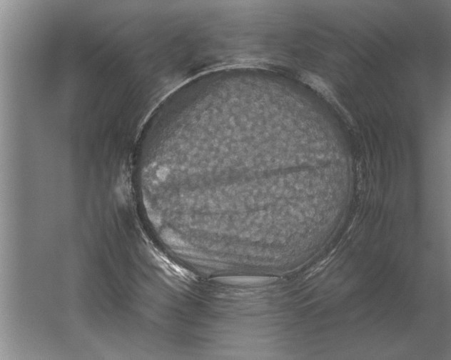 X0000062171260200512301636