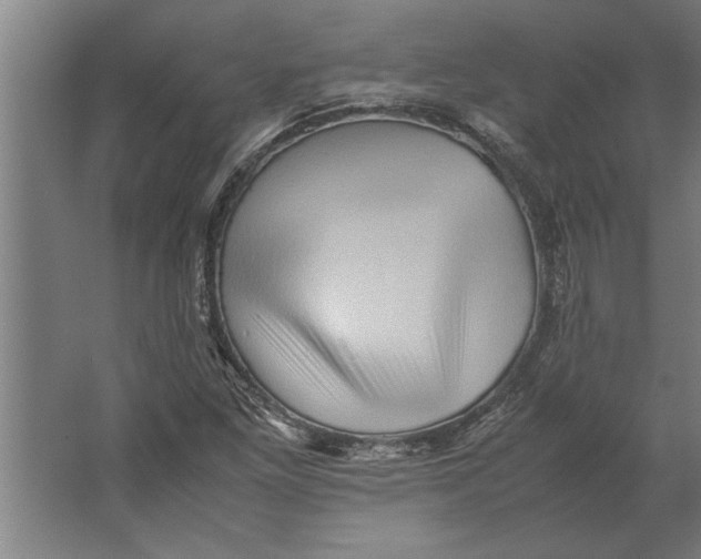 X0000062171261200512301636