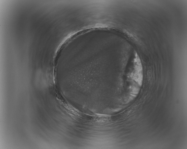 X0000062171262200512301636