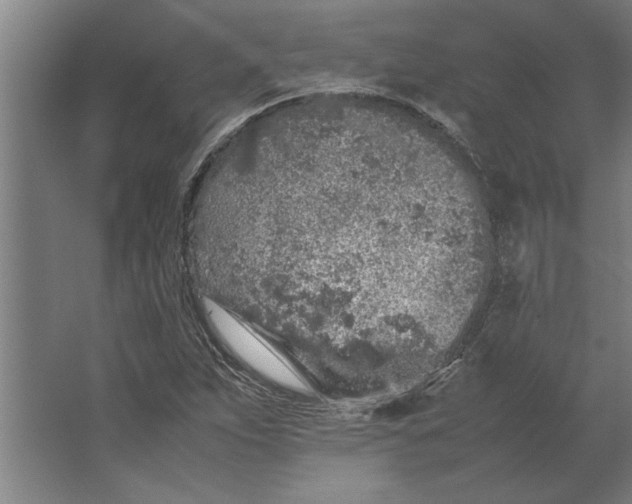 X0000062171263200512301636