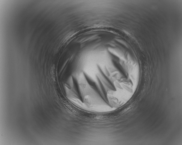 X0000062171265200512301636