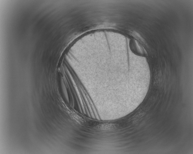 X0000062171268200512301636