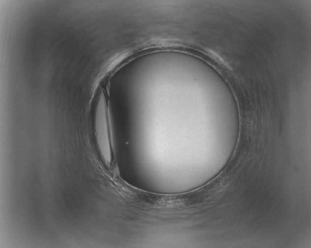 X0000062171269200512301636