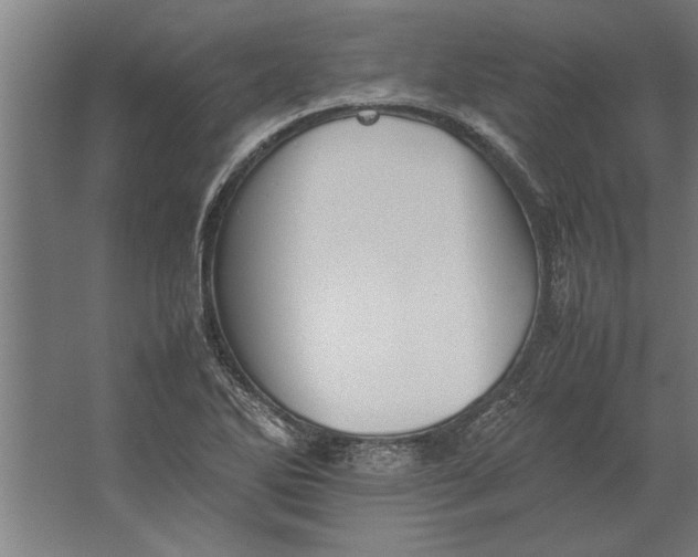 X0000062171270200512301636