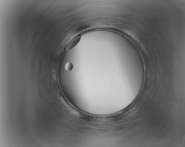 X0000062171273200512301636